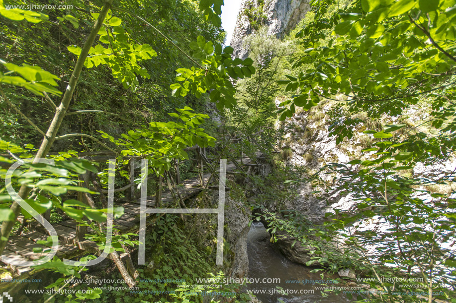 Wooden bridge over river, Erma River Gorge, Bulgaria