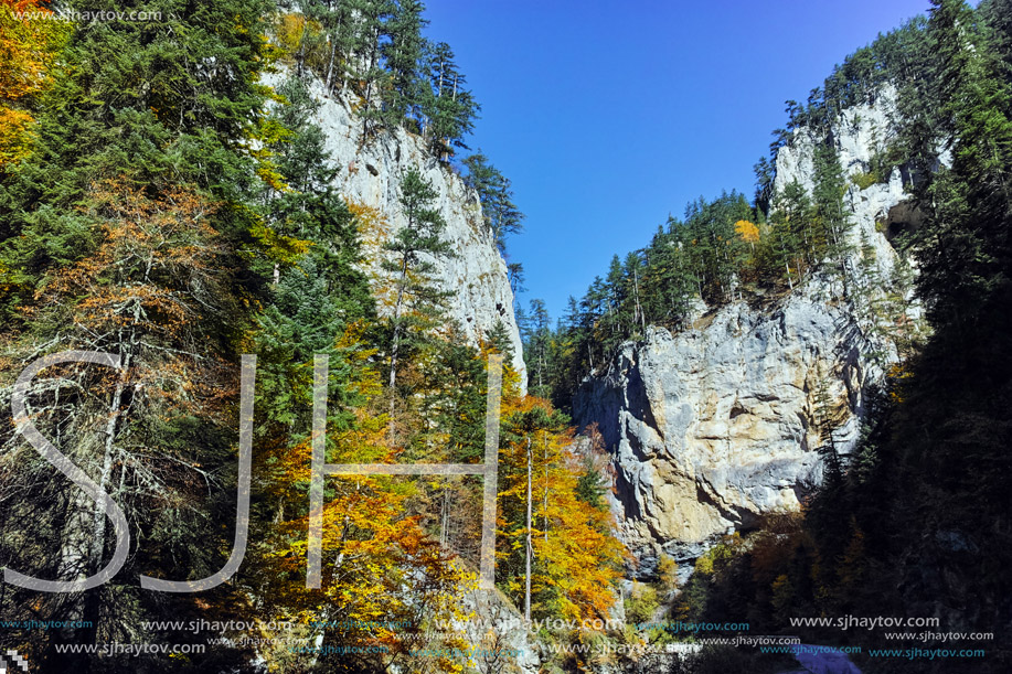 Panoramic Autumn view of Buynovsko gorge, Rhodope Mountains, Bulgaria