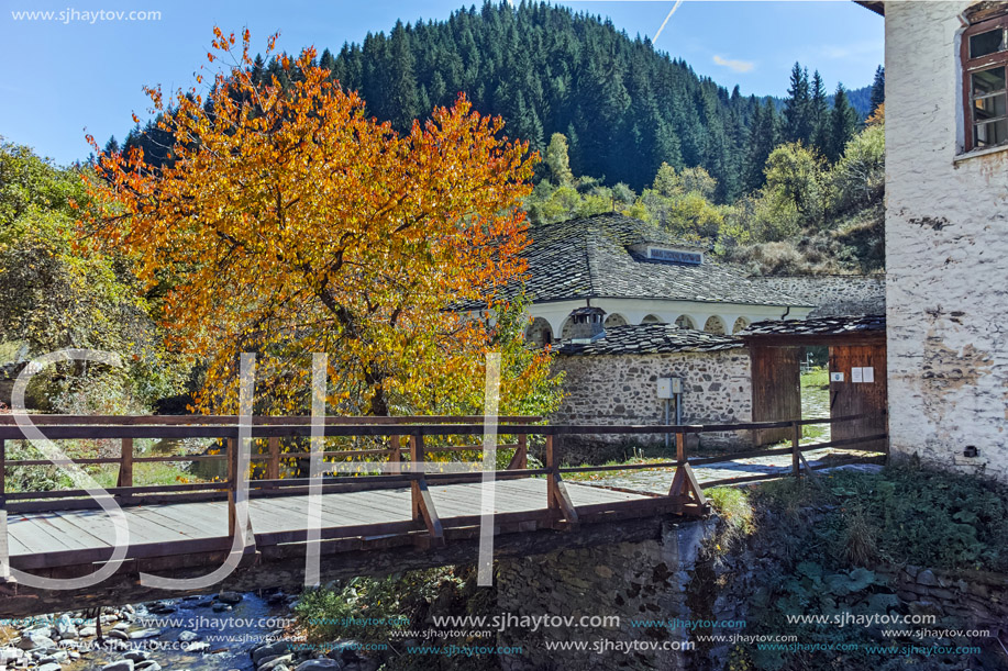 Church of the Assumption and Autumn tree in town of Shiroka Laka, Smolyan Region, Bulgaria