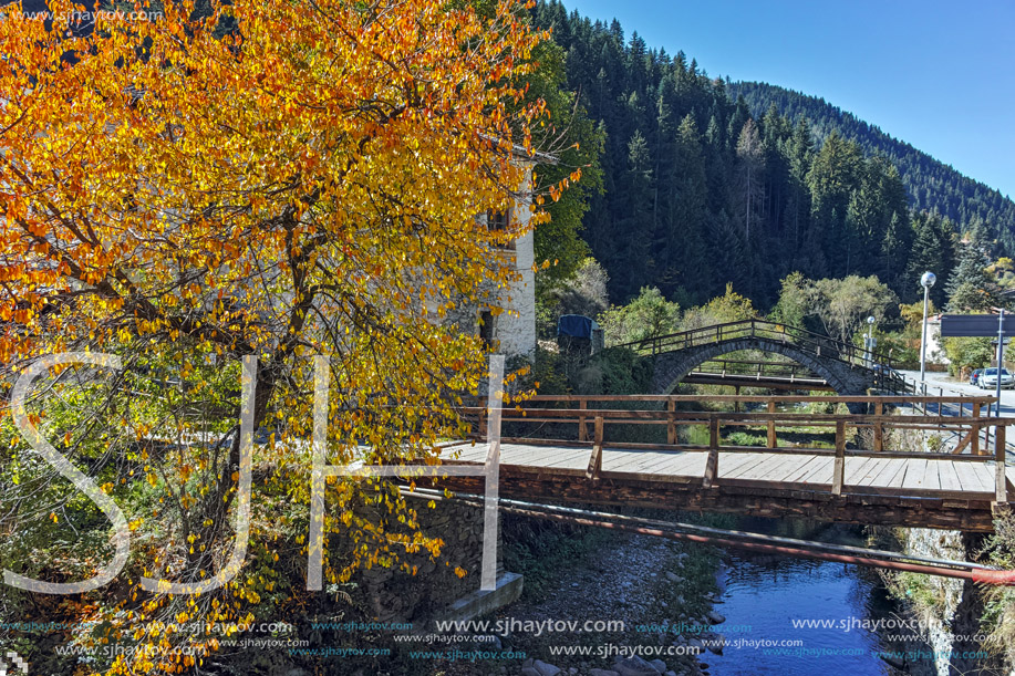 19th century Church of the Assumption, river and Autumn tree in town of Shiroka Laka, Smolyan Region, Bulgaria