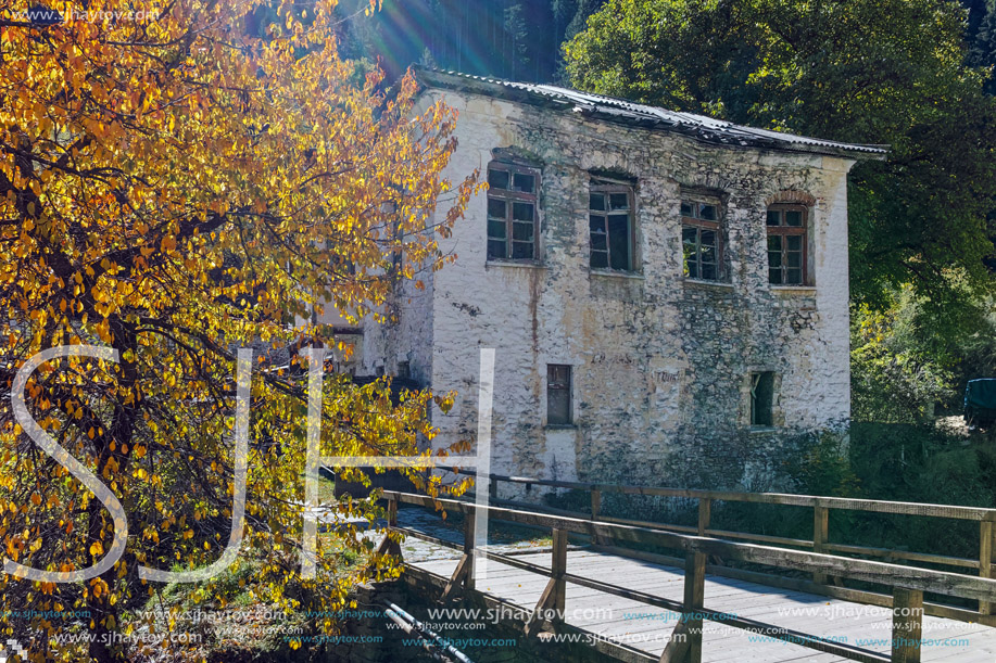 Amazing view of Church of the Assumption, river and Autumn tree in town of Shiroka Laka, Smolyan Region, Bulgaria