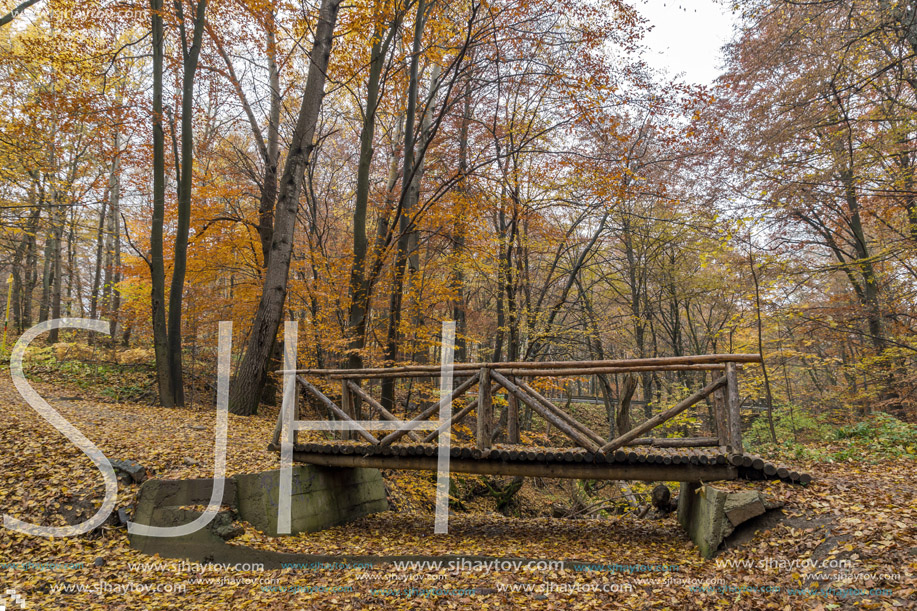 Small Bridge and Autumn trees, Vitosha Mountain, Sofia City Region, Bulgaria