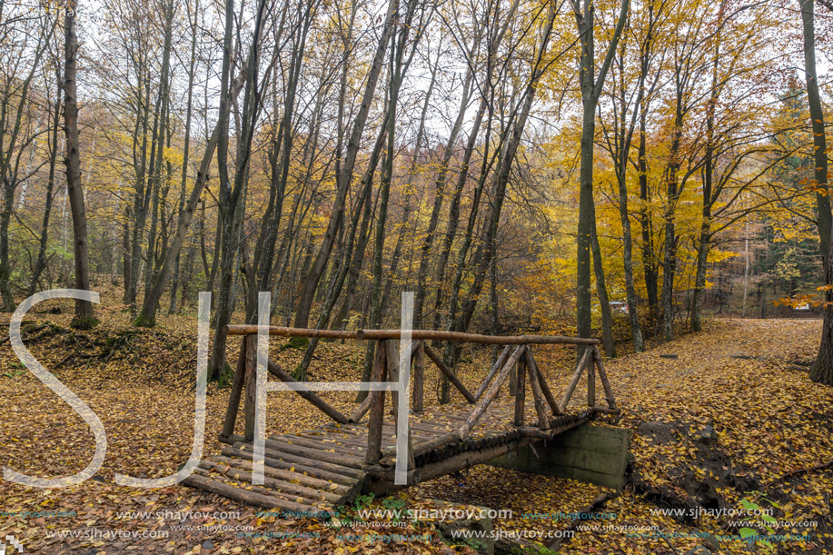 Amazing view with wooden Bridge and Autumn trees, Vitosha Mountain, Sofia City Region, Bulgaria