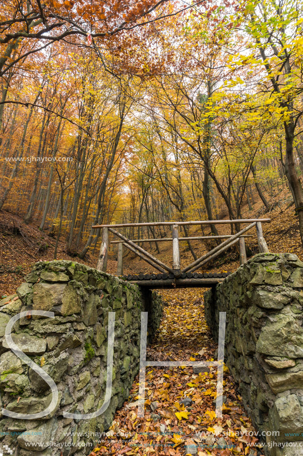 Landscape with Fog in the yellow forest and wooden bridge, Vitosha Mountain, Sofia City Region, Bulgaria