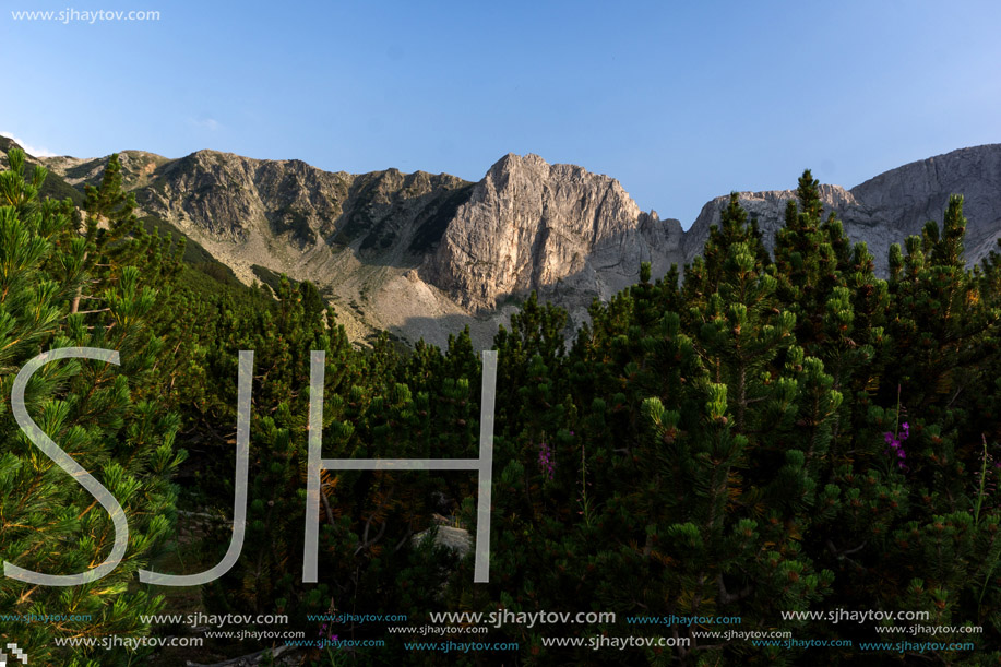 Sinanitsa peak and forest arond the lake, Pirin Mountain, Bulgaria