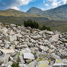Amazing panorama to Spano pole, Pirin Mountain, Bulgaria