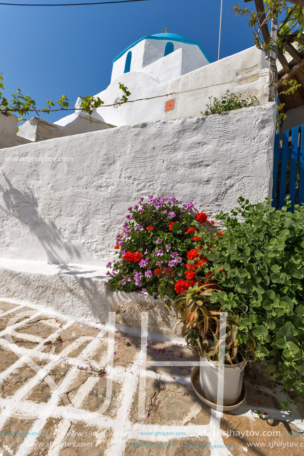White chuch with blue roof and Flowers in town of Parakia, Paros island, Cyclades, Greece