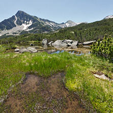 Green grass, Sivrya peak and Banski lakes, Pirin Mountain, Bulgaria