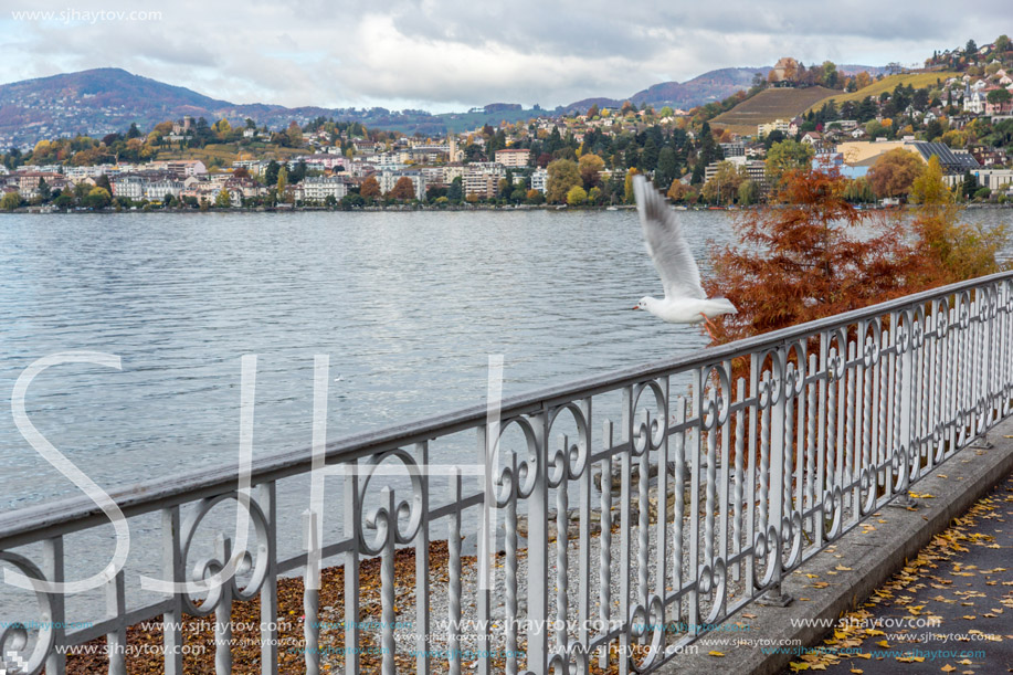 MONTREUX, SWITZERLAND - 29 OCTOBER 2015 : Embankment of  Montreux and Alps, canton of Vaud, Switzerland