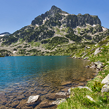 Amazing landscape of Dzhangal peak, Popovo lake and yellow flowers in front, Pirin Mountain, Bulgaria