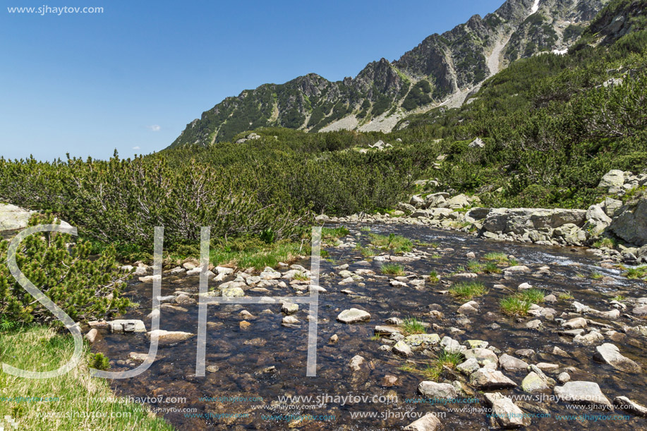 River near Sivrya peak, Pirin Mountain, Bulgaria