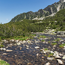 River near Sivrya peak, Pirin Mountain, Bulgaria