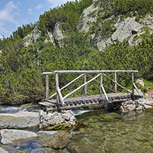 Wooden bridge over mountain river, Pirin Mountain, Bulgaria
