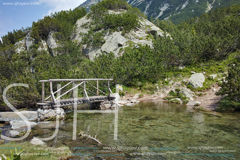 Amazing Landscape with Wooden bridge over mountain river, Pirin Mountain, Bulgaria