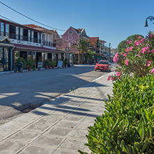 LIXOURI, KEFALONIA, GREECE - MAY 25  2015:  flowers on embankment  of Lixouri town, Kefalonia, Ionian islands, Greece