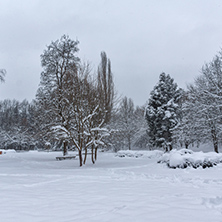 Winter Landscape with snow covered trees in South Park in city of Sofia, Bulgaria