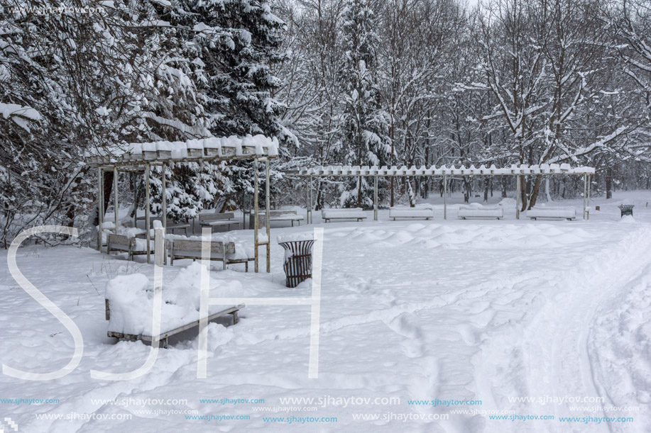 Winter Landscape with snow covered trees in South Park in city of Sofia, Bulgaria