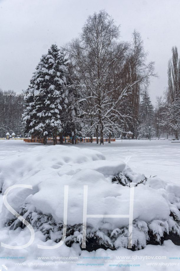 Winter Landscape with snow covered trees in South Park in city of Sofia, Bulgaria