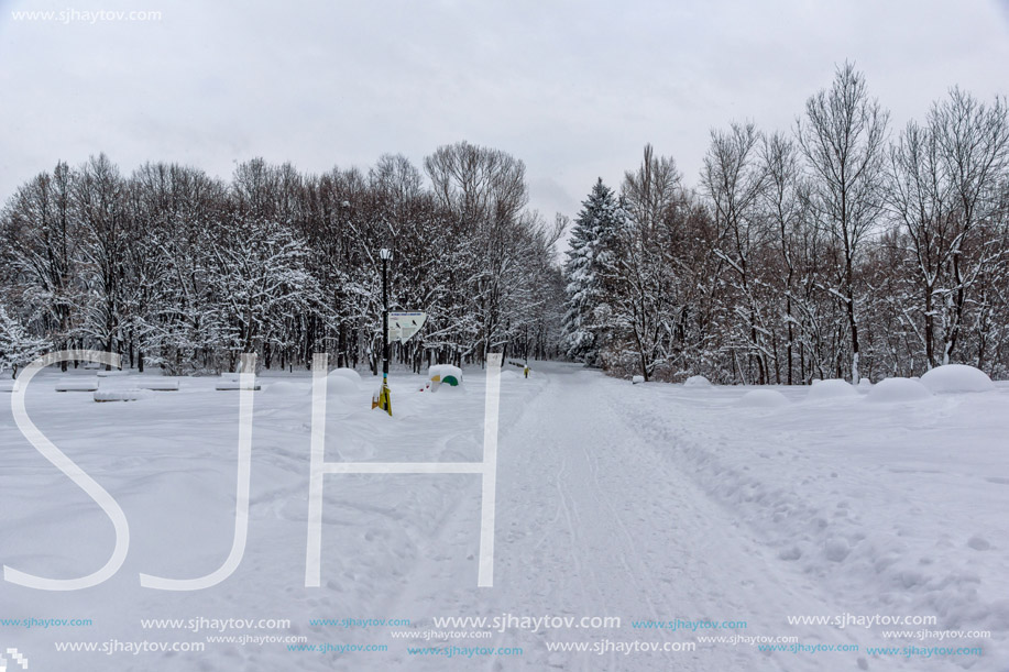 Winter Landscape with snow covered trees in South Park in city of Sofia, Bulgaria