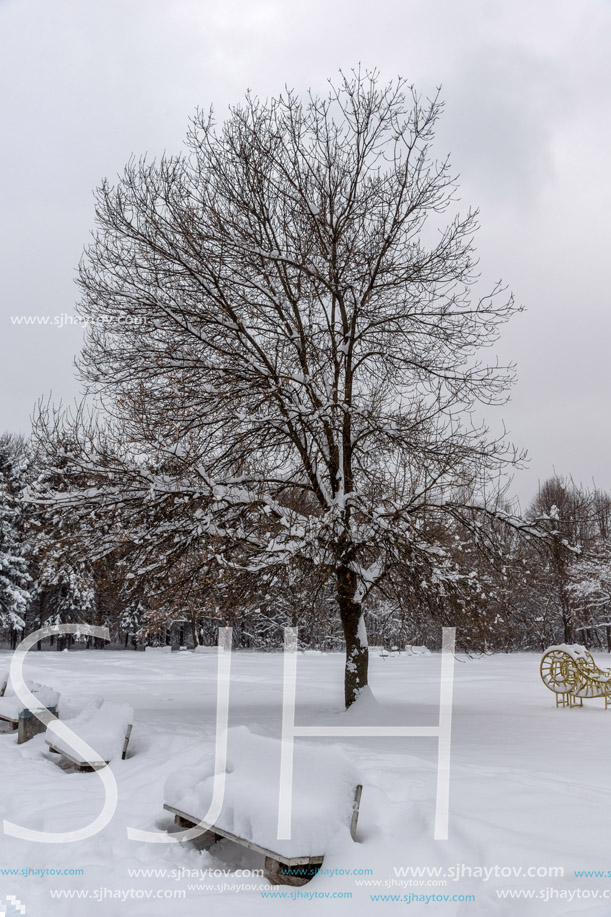 Winter Landscape with snow covered trees in South Park in city of Sofia, Bulgaria