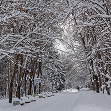Winter Landscape with snow covered trees in South Park in city of Sofia, Bulgaria