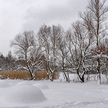 Winter view with snow covered trees in South Park in city of Sofia, Bulgaria