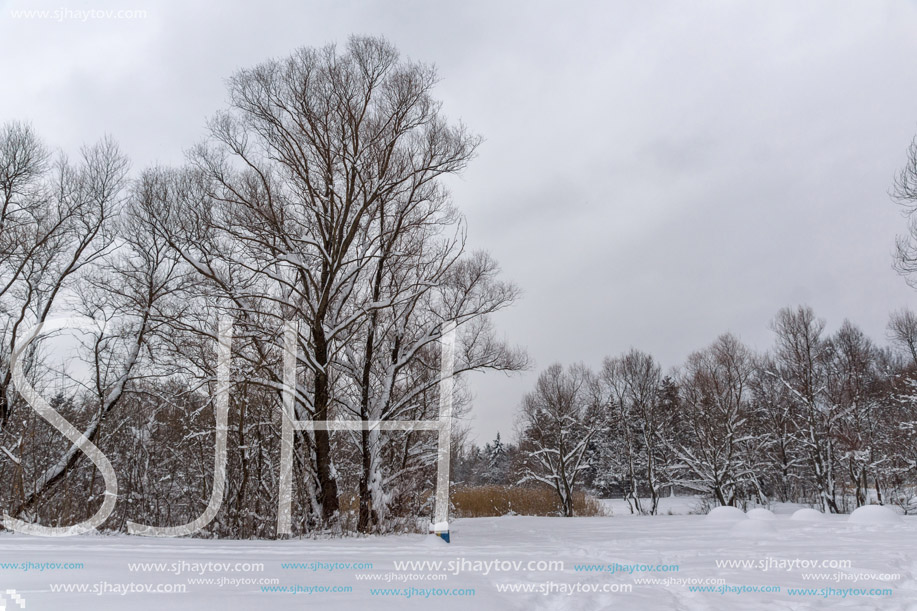 Winter view with snow covered trees in South Park in city of Sofia, Bulgaria