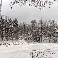 Winter view with snow covered trees in South Park in city of Sofia, Bulgaria