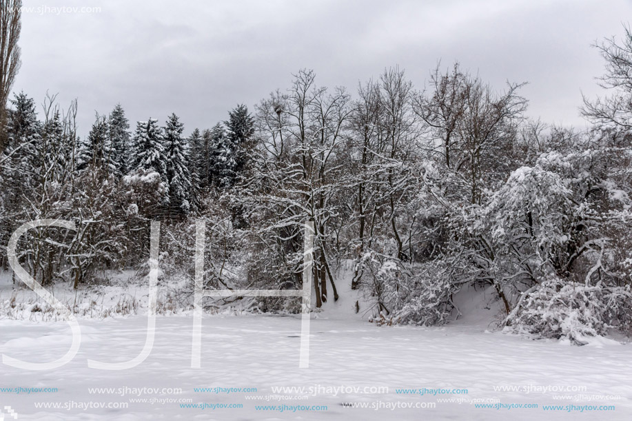 Amazing Winter view with snow covered trees in South Park in city of Sofia, Bulgaria