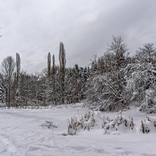 Amazing Winter view with snow covered trees in South Park in city of Sofia, Bulgaria