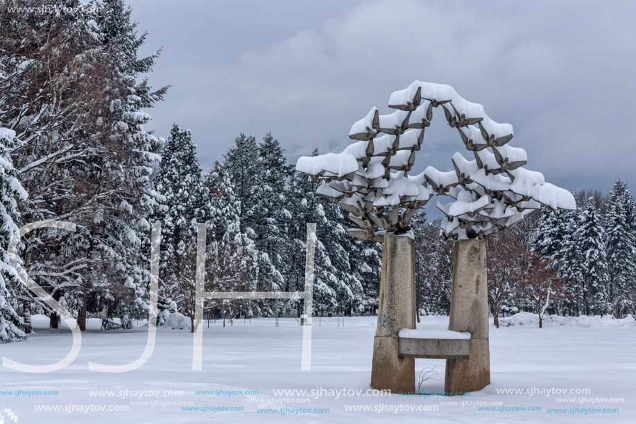 Amazing Winter view with snow covered trees in South Park in city of Sofia, Bulgaria