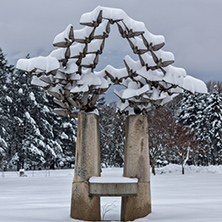 Amazing Winter view with snow covered trees in South Park in city of Sofia, Bulgaria