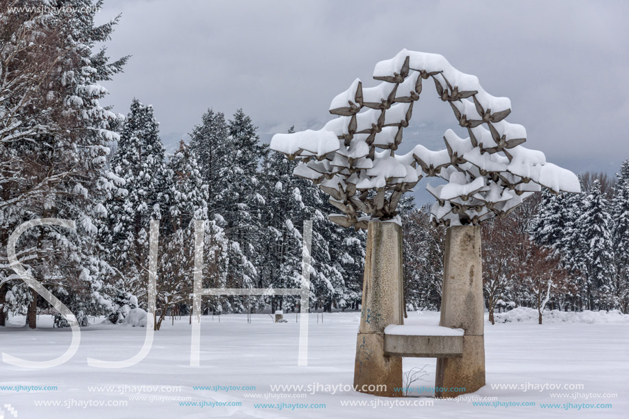 Amazing Winter view with snow covered trees in South Park in city of Sofia, Bulgaria