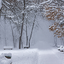 Amazing Winter view with snow covered trees in South Park in city of Sofia, Bulgaria