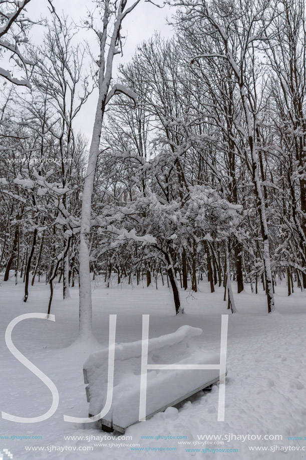 Amazing Winter view with snow covered trees in South Park in city of Sofia, Bulgaria