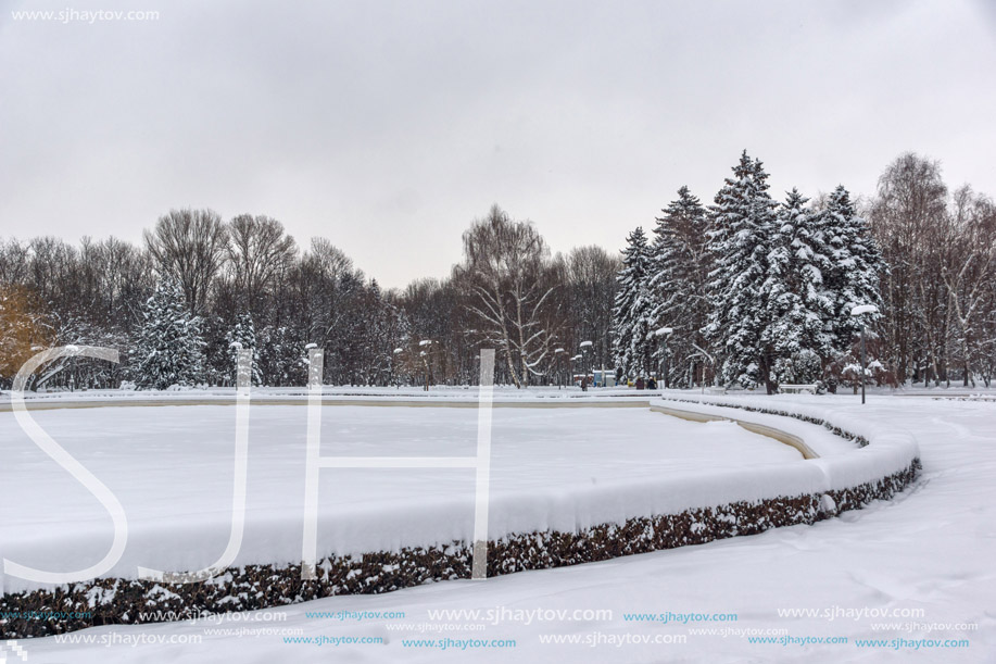 Amazing Winter view with snow covered trees in South Park in city of Sofia, Bulgaria