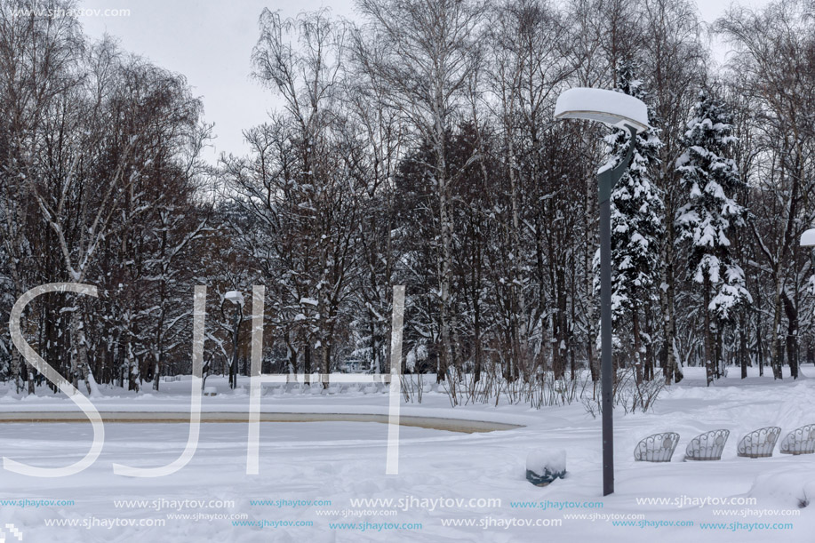 Amazing Winter view with snow covered trees in South Park in city of Sofia, Bulgaria