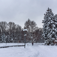 Amazing Winter view with snow covered trees in South Park in city of Sofia, Bulgaria