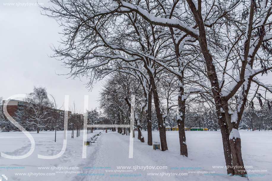 Amazing Winter view with snow covered trees in South Park in city of Sofia, Bulgaria