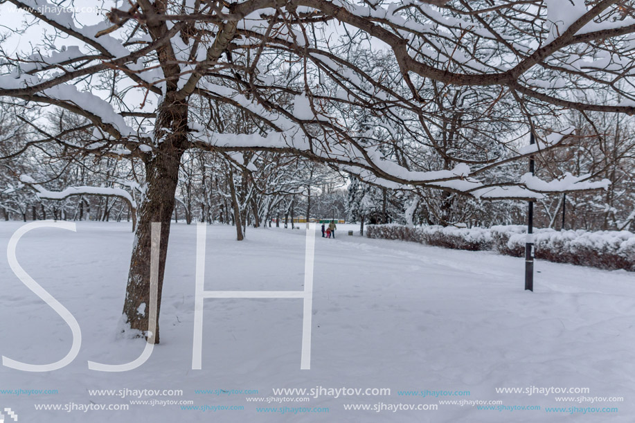 Amazing Winter view with snow covered trees in South Park in city of Sofia, Bulgaria