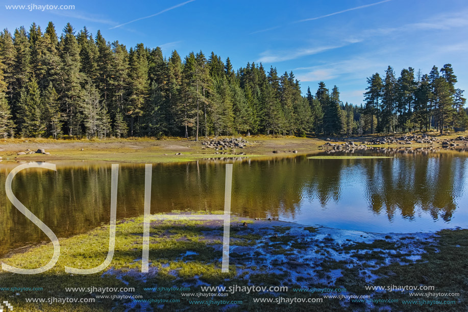 Landscape of Green forest of Shiroka polyana Reservoir, Pazardzhik Region, Bulgaria