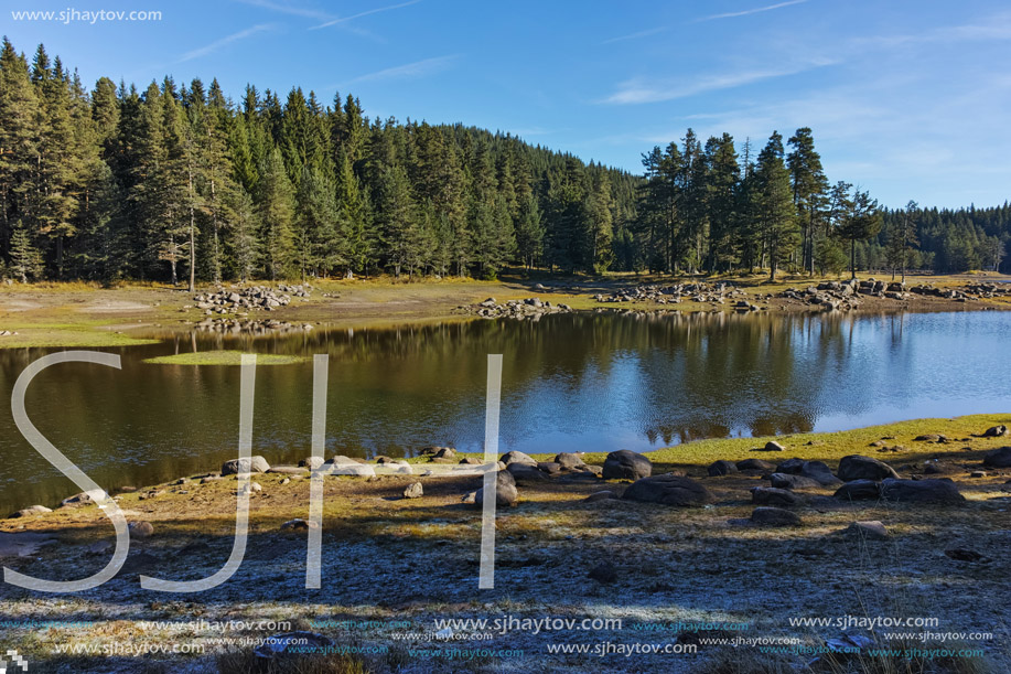 Landscape of Green forest of Shiroka polyana Reservoir, Pazardzhik Region, Bulgaria