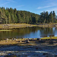 Landscape of Green forest of Shiroka polyana Reservoir, Pazardzhik Region, Bulgaria