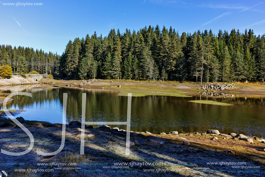 Landscape of Green forest of Shiroka polyana Reservoir, Pazardzhik Region, Bulgaria