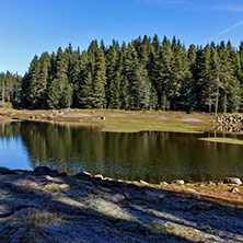 Landscape of Green forest of Shiroka polyana Reservoir, Pazardzhik Region, Bulgaria