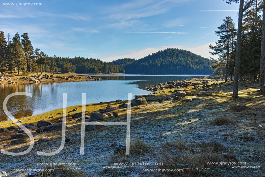 Landscape of Green forest of Shiroka polyana Reservoir, Pazardzhik Region, Bulgaria