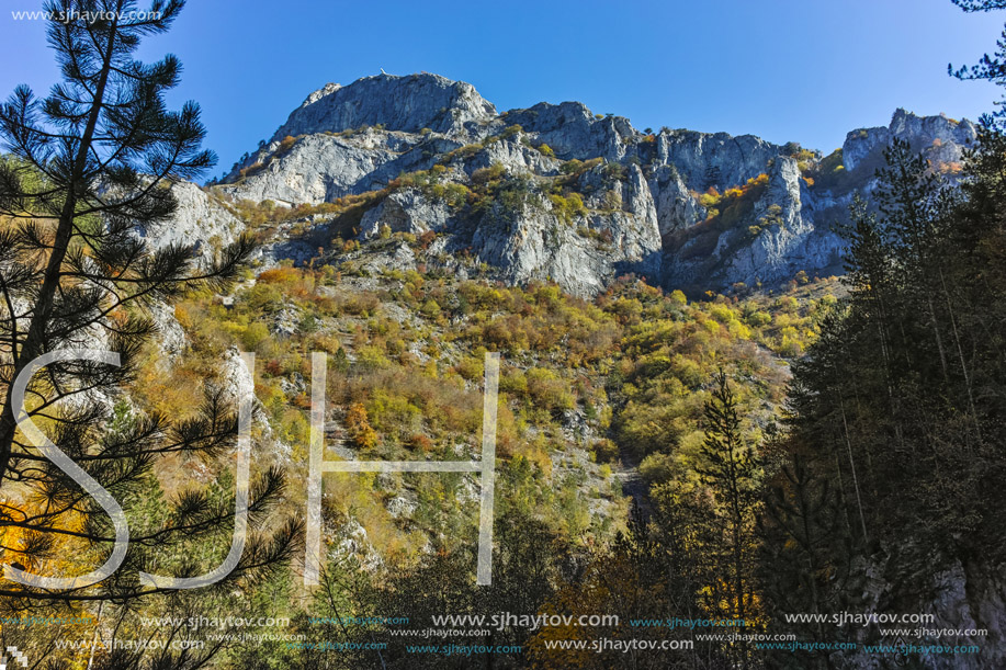Amazing view of Yellow trees and Autumn view of Buynovsko gorge, Rhodope Mountains, Bulgaria