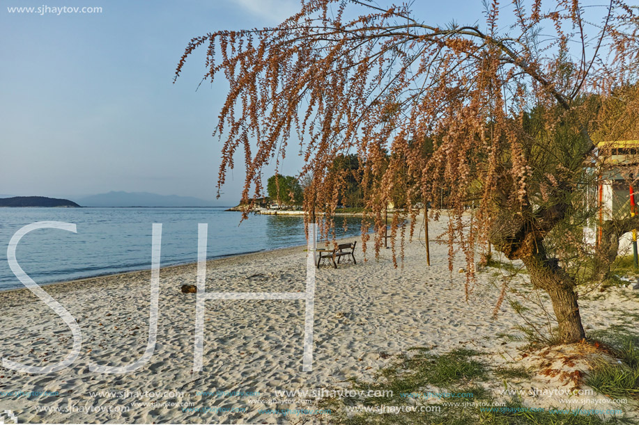 Sunset on beach of Thassos town, East Macedonia and Thrace, Greece