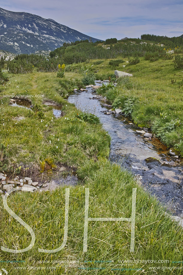 Landscape with Mountain river near Dzhano peak, Pirin mountain, Bulgaria