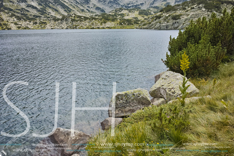 Amazing view of clean waters of Popovo lake, Pirin mountain, Bulgaria